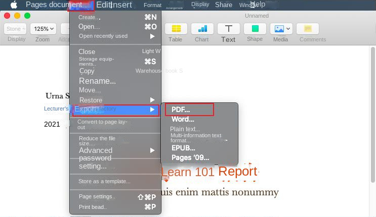 export pdf to pages mac