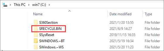 recycle.bin folder