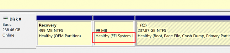 Partizioni di sistema riservate e EFI