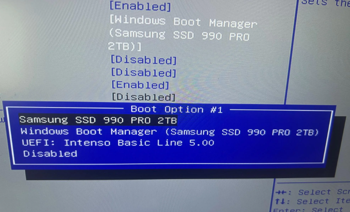 SSD in BIOS device list