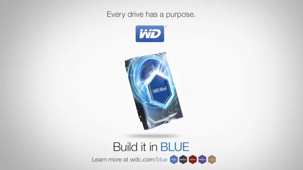 WD Blue disks