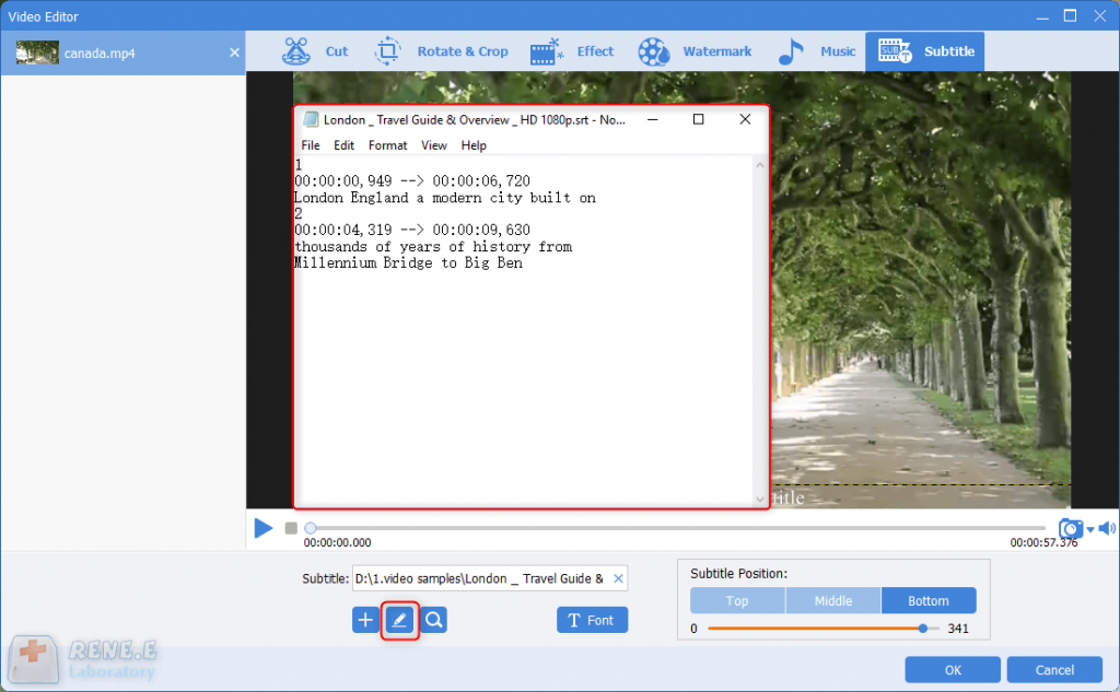 subtitles in renee video editor pro