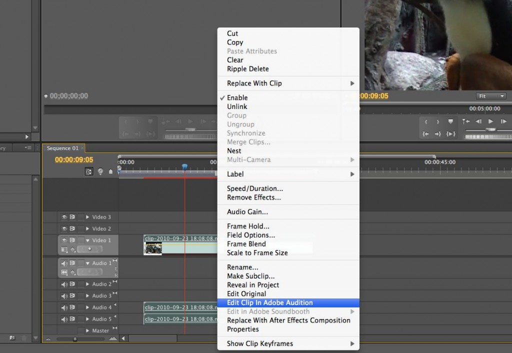 Edit clip in Adobe Audition