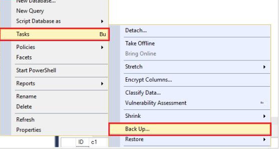 SQL Server Data Backup