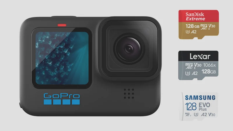 gopro sdcards